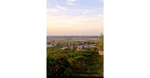 Gli Amici di Manzo APS - Immagine: 2