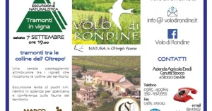 Tramonti in Vigna, escursione notturna sulle Colline di Zenevredo, 7 settembre 2019 - Immagine: 1