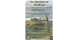 Cena in Vigna - Santa Giuletta 2019 - Immagine: 3