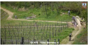 6Ore Mountainbike - Endurance Race Terre Bentivoglio 2019 - Immagine: 5