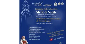 Stelle di Natale - Stradella 2024 - Immagine: 1