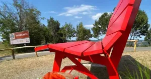 Big Bench n° 170 - Romagnese - Immagine: 2