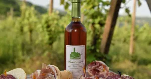 PICNIC NEL VIGNETO Pietra dè Giorgi 2020 - Immagine: 1