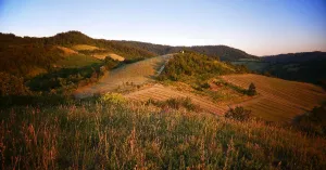 Camminata verso la Via del Sale da Voghera a Varzi 2020 - Immagine: 3