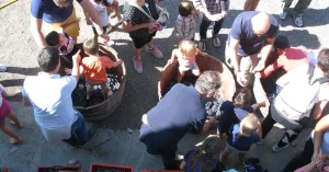 Vigneti aperti in vendemmia Pietra De' Giorgi 2020 - Immagine: 4