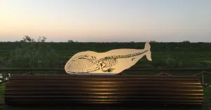 A Filo di Po - Nicola Salvatore - Immagine: 1