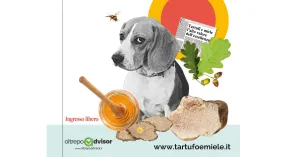 35° FIERA DEL TARTUFO E DEL MIELE CASTEGGIO 2019 - Immagine: 2