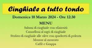 CINGHIALE A TUTTO TONDO 2024 - Immagine: 1