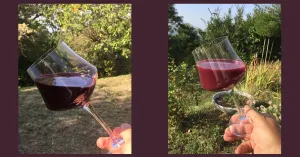 IL MOSTO DIVENTA VINO .....DEGUSTIAMOLI ENTRAMBI - Immagine: 1
