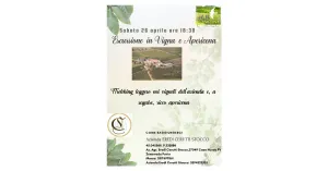 Le Notturne di Volo di Rondine