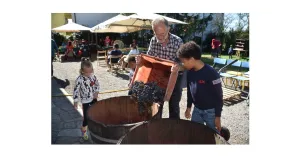 VENDEMMIAMO ASSIEME 2025 - Immagine: 4