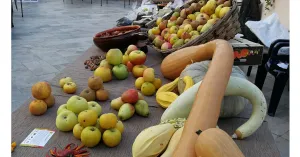 Domenica nel Borgo, 13 ottobre 2019 a Fortunago - Immagine: 5