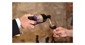 LE MAGIE DI MAGO MERLINO 2023 - Immagine: 3