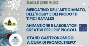 Stelle di Natale - Stradella 2023 - Immagine: 2