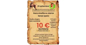 Festa Patronale 2024 - San Cipriano Po - Immagine: 6