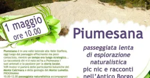 Passeggiata e pic nic Piumesana 2019 - Immagine: 1