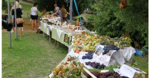 Festa di Fortunago 2019 - Immagine: 1