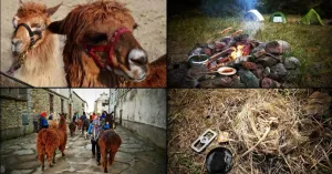 Wild Trek - Avventure in cammino - Immagine: 4
