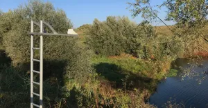 Buttarsi - Marika Ricchi - Immagine: 1