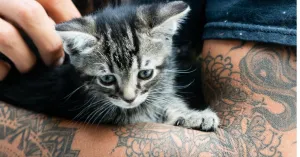 Tutti i benefici della Pet Therapy - Immagine: 3