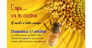 L'APE ........ VA IN CUCINA  2021 - Immagine: 1