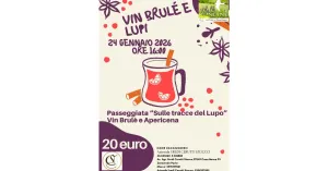24 Gennaio 26 - Vin Brulè e Lupi - Escursione, Conferenza e Apericena - Immagine: 1