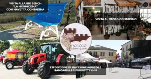 Mornico in Fiera - Mornico Losana 2022 - Immagine: 1