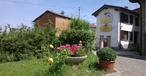 Azienda Vitivinicola Dellabianca Antonio - Immagine: 2
