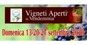 Vigneti aperti in vendemmia Pietra De' Giorgi 2020 - Immagine: 1