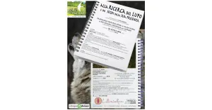 Alla Ricerca del Lupo e dei segni della sua presenza 24 settembre 2023 Oltrepò Pavese - Immagine: 1