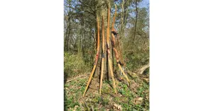 ASD GAOP - Gruppo Arcieri Oltrepo Pavese - Immagine: 18