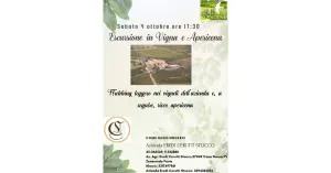 4 Ottobre 2025 - Trekking Leggero in Vigna e Apericena con Prodotti Locali - Immagine: 1
