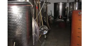 Azienda Vitivinicola Dellabianca Antonio - Immagine: 4