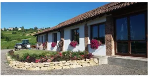 Cena in Vigna - Santa Giuletta 2019 - Immagine: 4