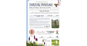 In viaggio tra le Fioriture Spontanee, Orchidee e non solo