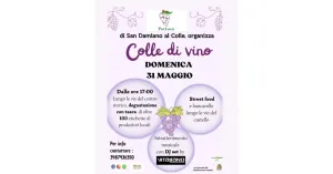 Colle di vino 2026 - San Damiano al Colle - Immagine: 3