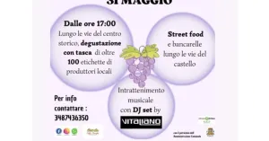Colle di vino 2026 - San Damiano al Colle - Immagine: 2