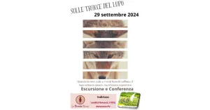 Sulle Tracce del Lupo - Escursione Guidata e Conferenza - Immagine: 1