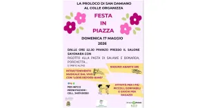 Festa in Piazza - San Damiano al Colle - Immagine: 4