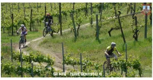 6Ore Mountainbike - Endurance Race Terre Bentivoglio 2019 - Immagine: 4