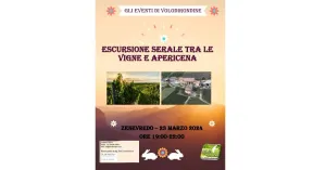 Le Notturne di Volo di Rondine