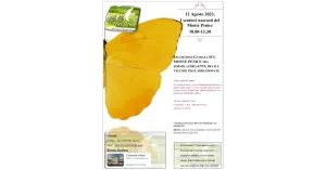 I Formicai del Monte Penice e i Vecchi impianti da sci, Escursione ad Anello - Immagine: 1