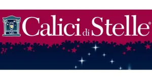 Calici di Stelle 2019 - Canneto Pavese - Immagine: 4