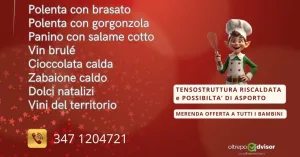 Stelle di Natale - Stradella 2025 - Immagine: 3