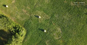 Foto aeree e riprese con il drone - Immagine: 4