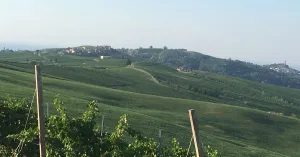 Pietra dè Giorgi: architettura storica nel borgo immerso nella natura - Immagine: 4