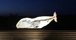 MAAAPO - Museo Arte Ambiente Arena Po - Immagine: 3