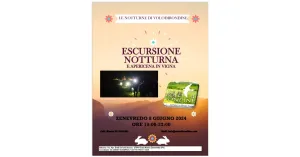 Le Notturne di Volo di Rondine