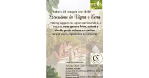 23 Maggio 2026, Trekking Leggero al tramonto e Cena in Vigna - Immagine: 1