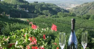 La Vecchia Cantina - Bed & Breakfast a Canneto Pavese - Immagine: 1